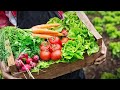 Myths vs Facts About Organic Farming