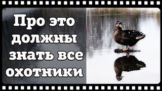 Подсадная утка или как не потерять уникальное наследие нашей страны.