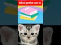 kucing lucu tebak gambar apa ini namanya #shorts #kucinglucu #tebakgambar