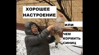 Как поднять настроение  и чем кормить синичек! )