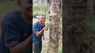 Lasak #shorts #funny #comedy #duet #humor #reaction