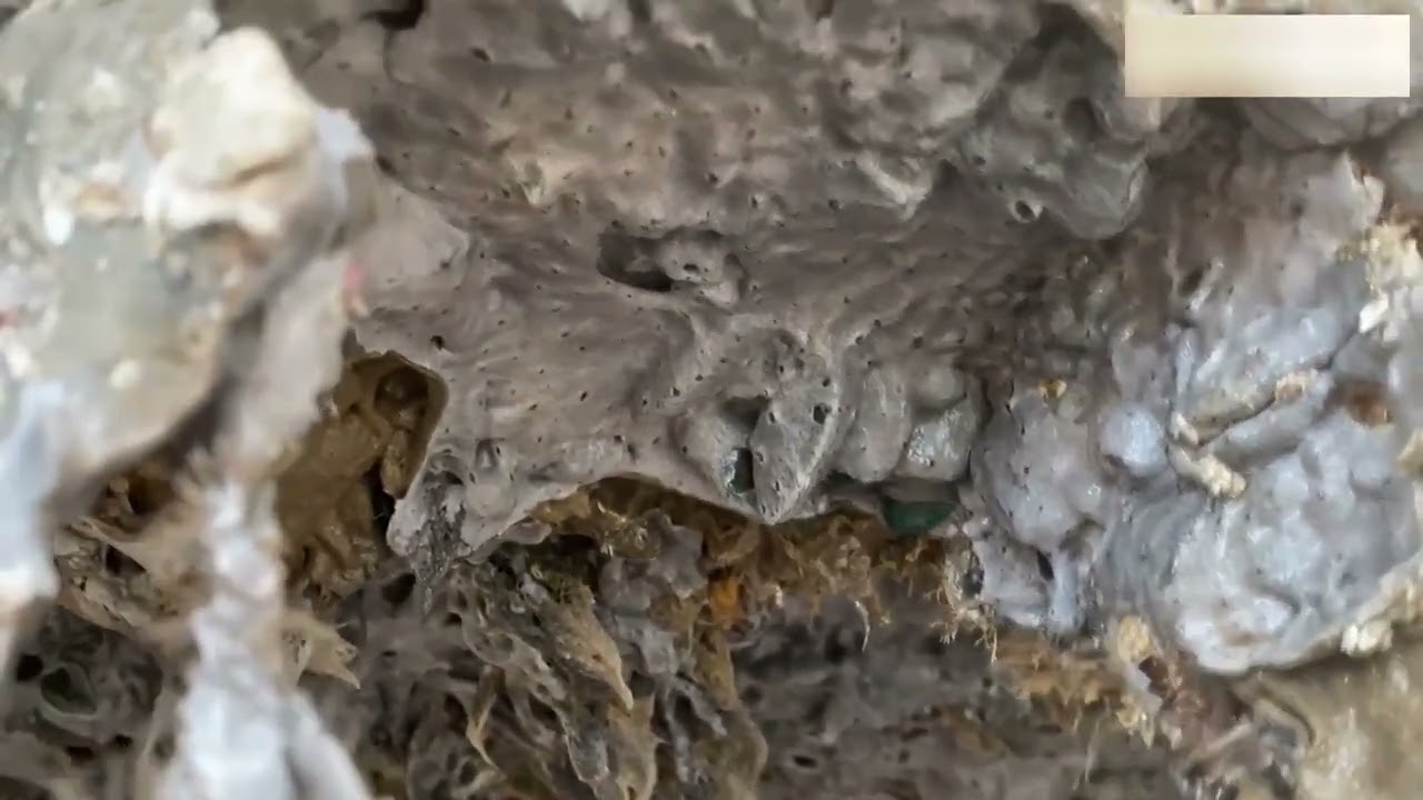 Restoring the Boat Hull – Barnacle Removal Process Ep 8