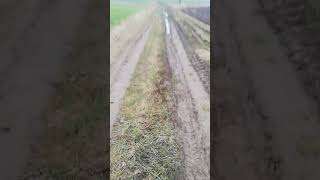 My Road 5 myway inmystyle walk mud groove