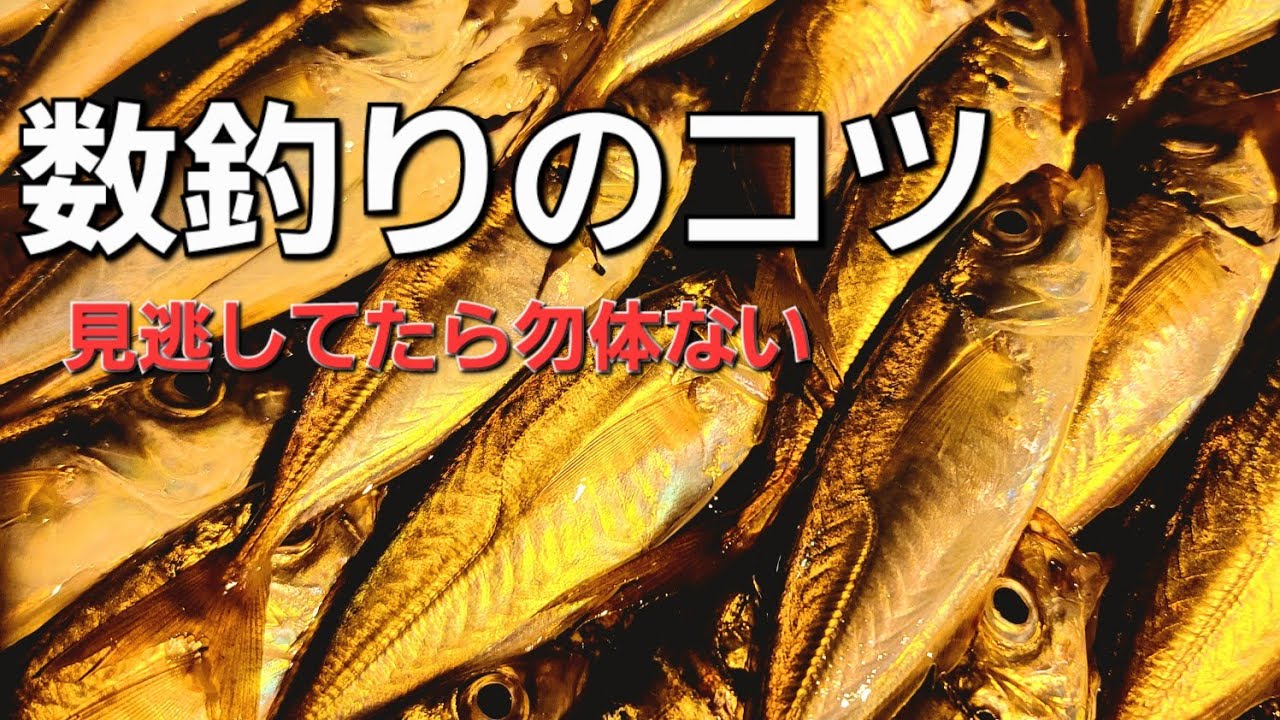 アジング 上級者はしてる数釣りのコツ こんな所も夜にアジは溜まります Youtube