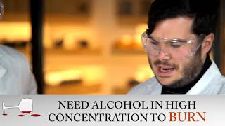 Exclusive Wine Alcohol Content | One More Glass | The Weekly Wine Show Information