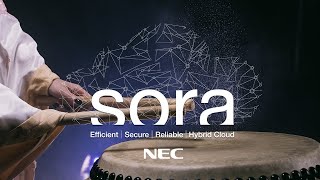 Sora Hybrid Cloud (General)