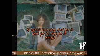 SZA - Doves in the wind Lyric Video