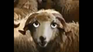 L7Awli Kay 7Adarkome Moute Da7K Hhhhhhhhhhhhhh