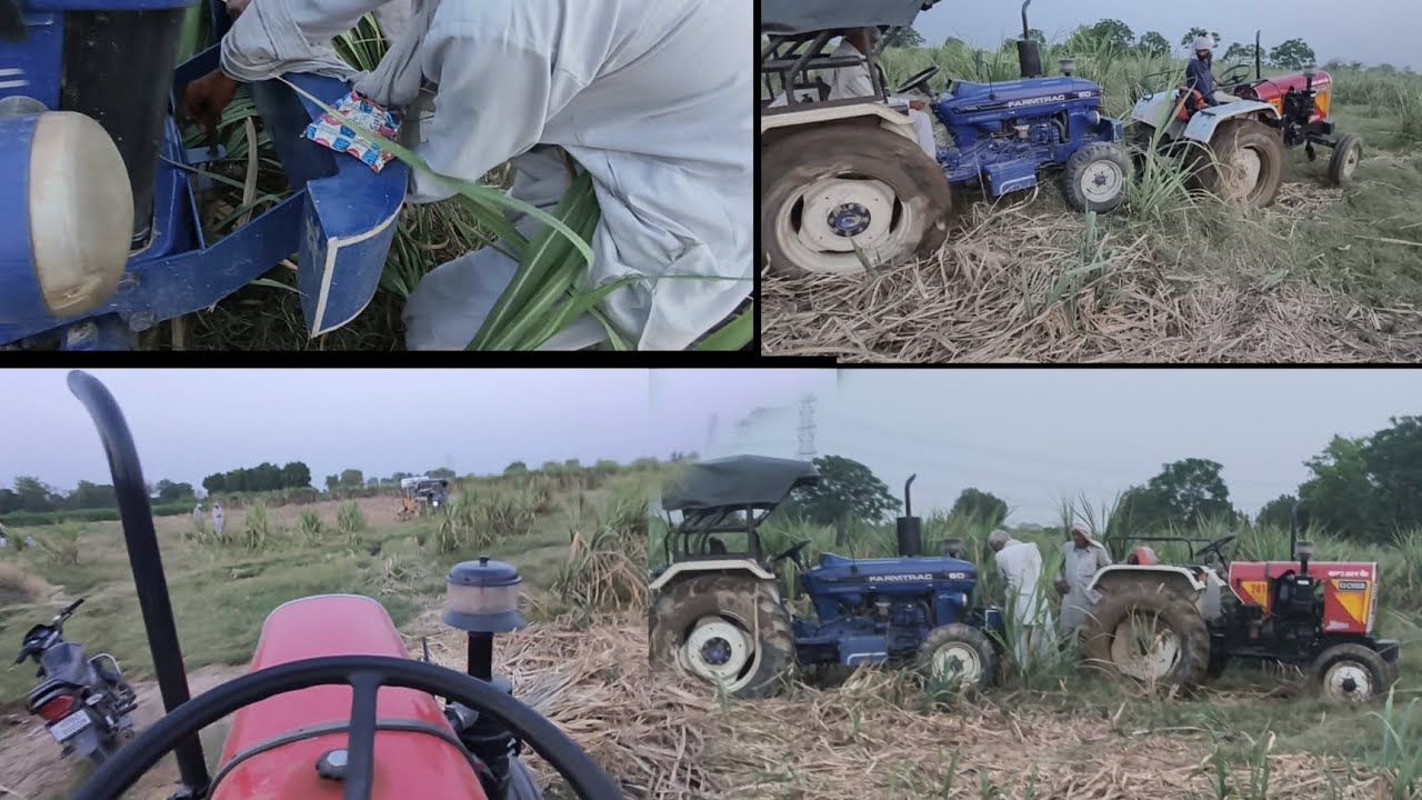 फार्मट्रेक60निकला गाने कीभरी हुई ट्राली के साथ बॉक्सर ट्रैक्टर ने लगायापूरा जोरautomobilepb08farming