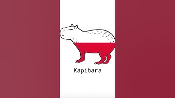 Capybara in different languages