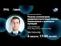 NextGenerationMedicine Алексей Абызов Ранние асимметрии развития клеточных линий NextGenerationMedicine Алексей Абызов Ранние асимметрии развития клеточных линий