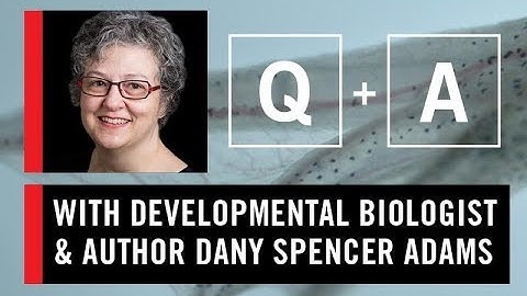 WS CONNECT Q & A with Dany Spencer Adams