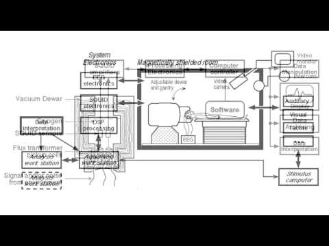 The basics of MEG measurement and instrumentation