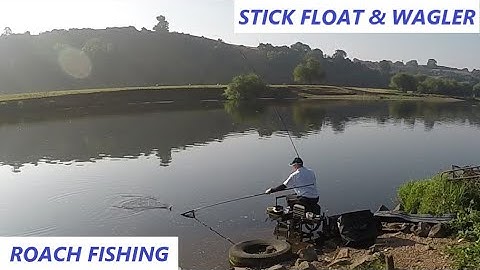 STICK FLOAT & WAGGLER ROACH FISHING ON THE RIVER - Hoveringham - River Trent