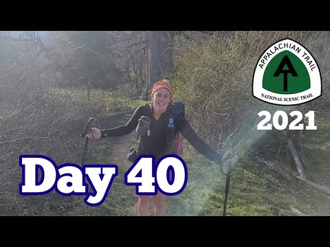 Day 40 | From Pearisburg, VA to Mile 683 & The Keffer Oak | Appalachian Trail 2021