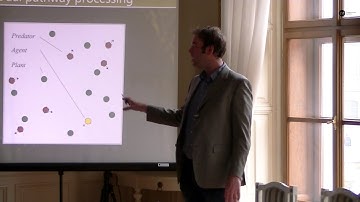 Behavioral Benefits and the Neural Costs in Simulated Evolution, Bram Heerebout