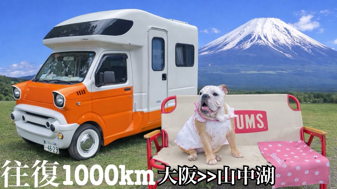 軽キャンピングカーで犬連れキャンプ＆車中泊旅【山中湖】【ドッグキャンプ福寿 in石割】