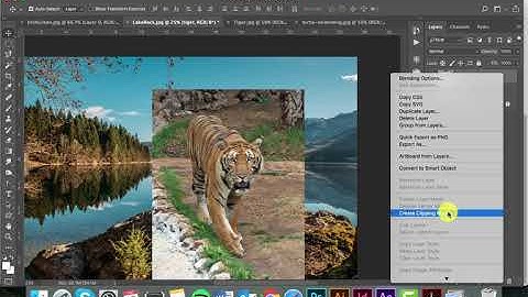 Clipping Mask, Custom Shapes, Brushes, Coloring