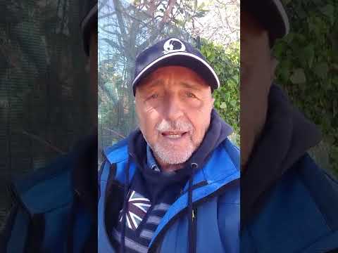 Video (SCADE DOMANI) Solo fino al 31 MARZO 2026, il VIDEOCORSO a soli 247.00 Euro! (Anziché 497.00 Euro)!