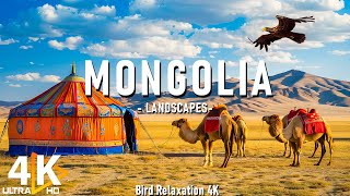 Mongolia 4K Relaxation Film - Silk Road - Peaceful Relaxing Music - Nature 4k Video UltraHD