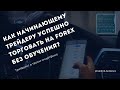 Как начинающему трейдеру успешно торговать на форекс и закрывать до 80% успешных сделок без обучения