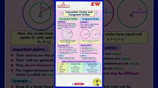 concentric circles