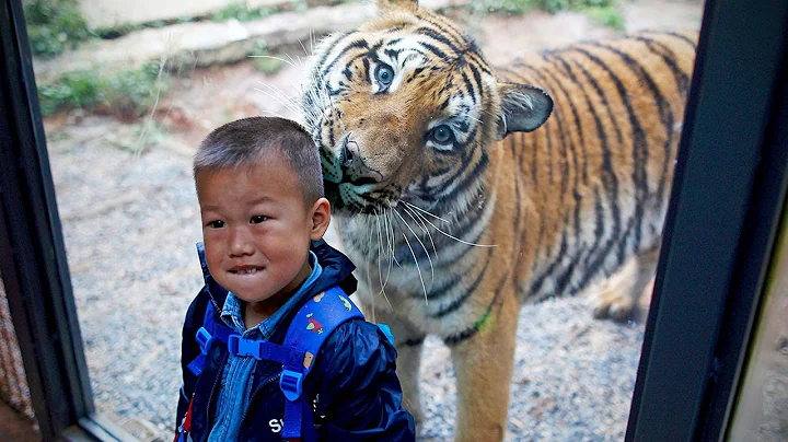 TRY NOT TO LAUGH | Cute Babies At Zoo | LAUGH TRIGGER