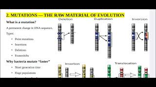Microbiology 04 microbial genetics evolution resistance 