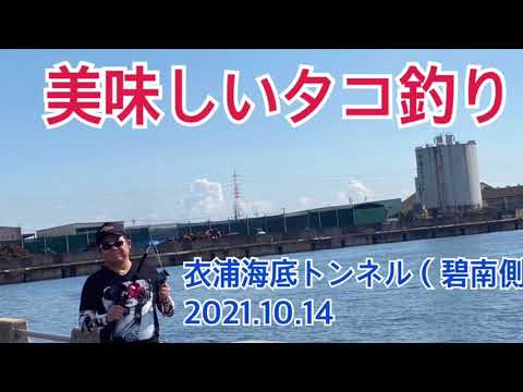 みっていタコ釣り 衣浦海底トンネル 碧南側 21 10 17 水中映像有り Youtube