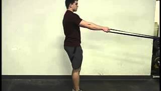Reverse Lunge with Contralateral One Arm Band Row