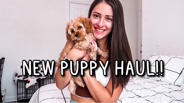 NEW PUPPY HAUL | EVERYTHING I GOT FOR MY 8 WEEK OLD COCKAPOO PPUPPY 2021 + PUPPY ESSENTIALS