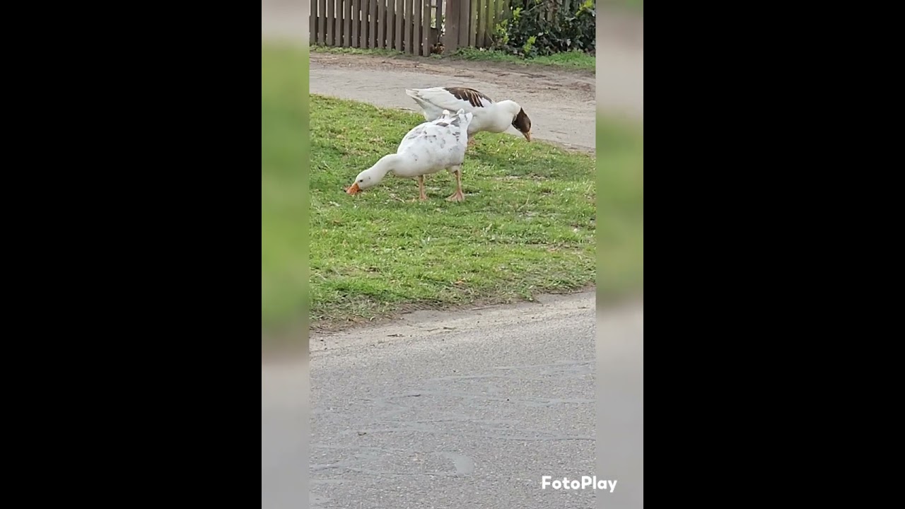 Lebendige Wohlfühlgemeinde Hillerse