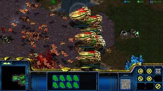 StarCraft Remastered 1v7 FFA on Big Game Hunters