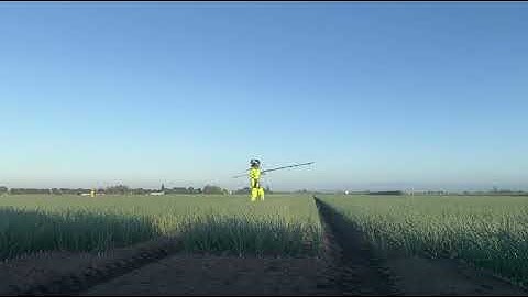 Onion trial - Grochem