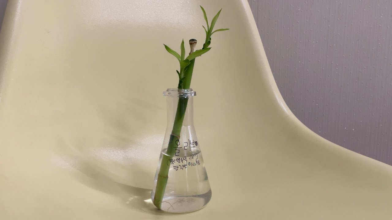 서울 나들이 후 다시 돌아온 살림 일상