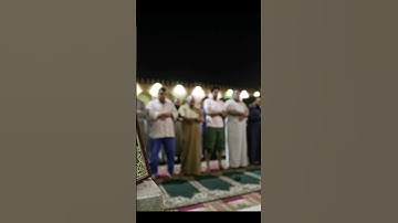 ما تيسر من سورة يوسف #صلاة_التراويح