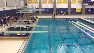 1 meter spring board diving 201b