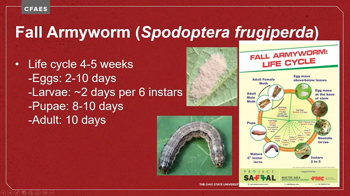 Climate & ... Series: Insect Pests