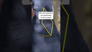 Download Lagu De beste vriend van een visser uit de 17e eeuw. MP3