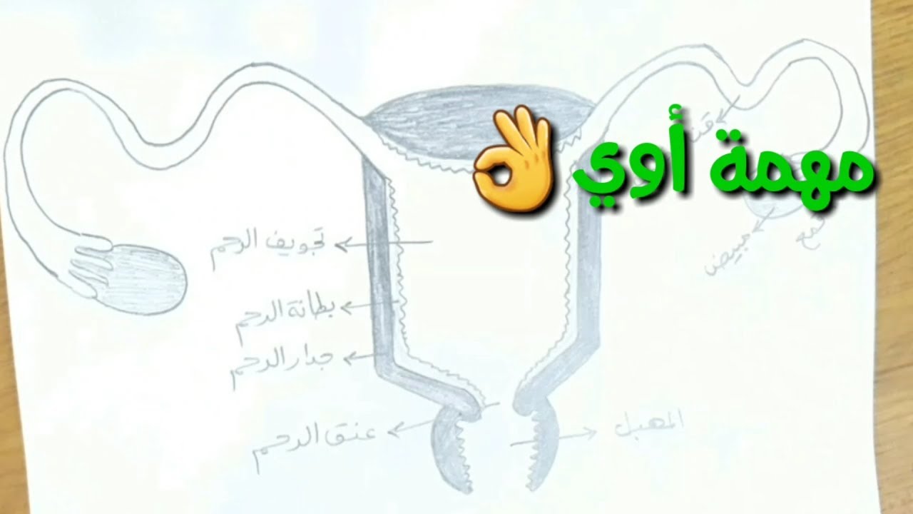 YouTube youtube