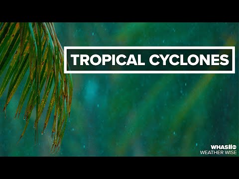 Video: Care este semnificația vremii tropicale?