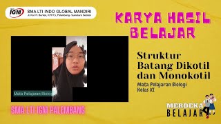 Struktur Batang Monokotil dan Dikotil