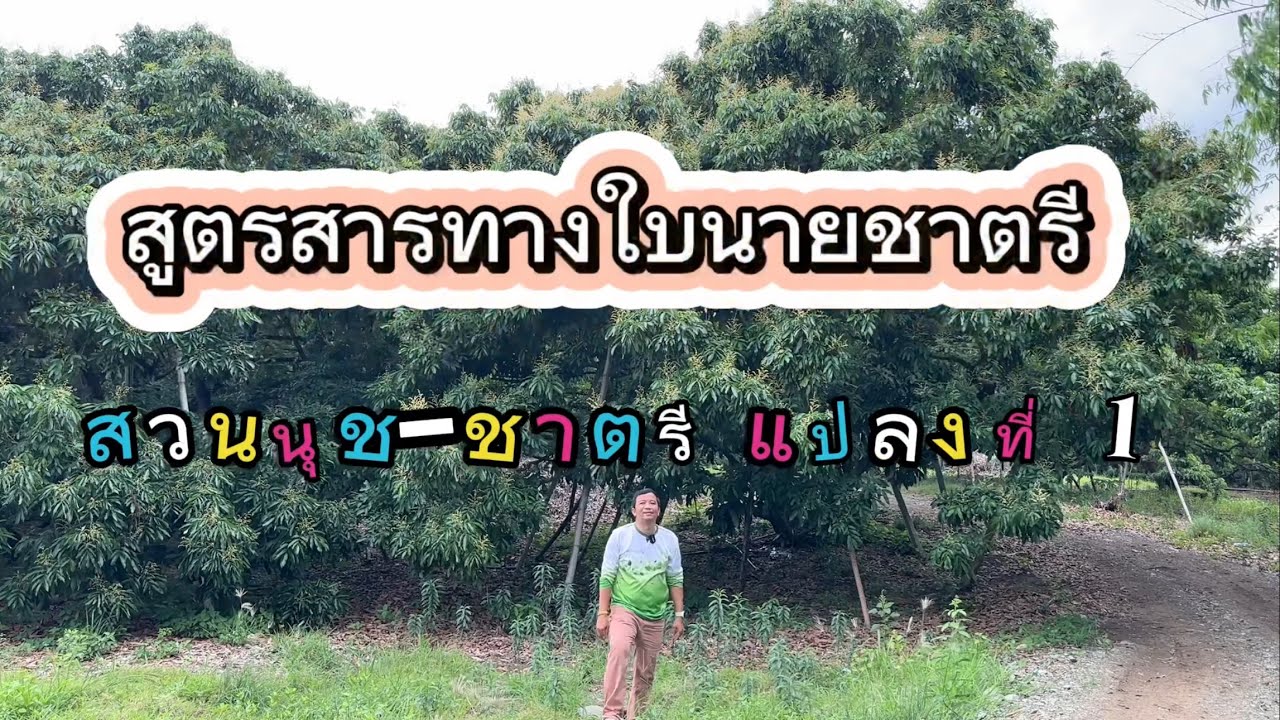 สวนนุชชาตรี แปลงที่ 1  สูตรสารทางใบนายชาตรี