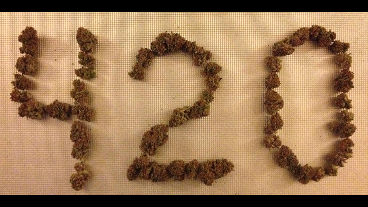 BurnBox vs Cannabox vs Puffer Box vs 420GoodyBox