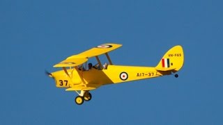 141204 1 Tiger Moth at Phoenix   The Tiger is back