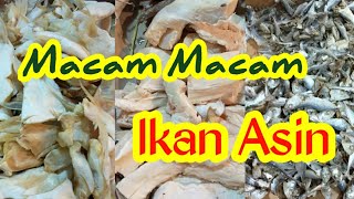 Macam Macam Ikan Asin