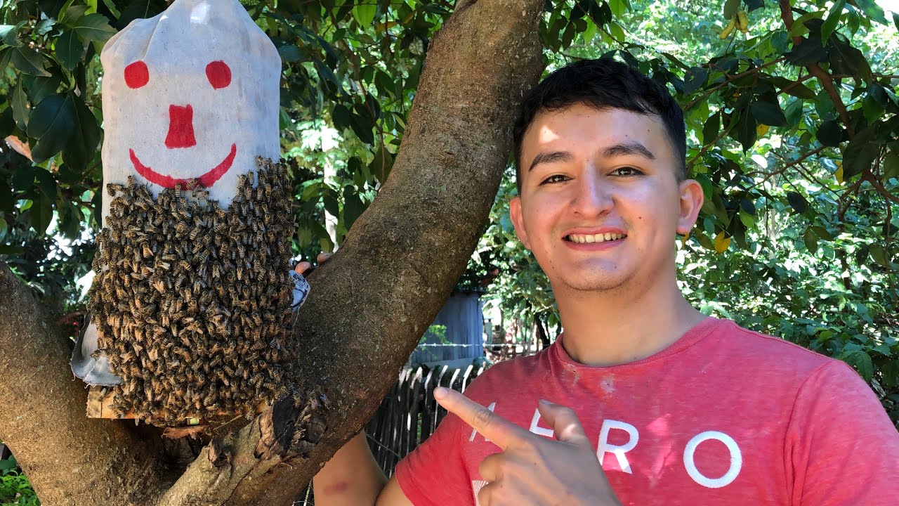 Colmena en botella de plástico PET