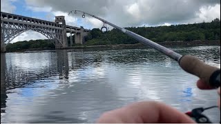 Menai Straits Lure Fishing Mackerel Catch N Cook