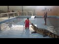 [走过必留下足迹] 泰国合艾鳄鱼表演真精彩