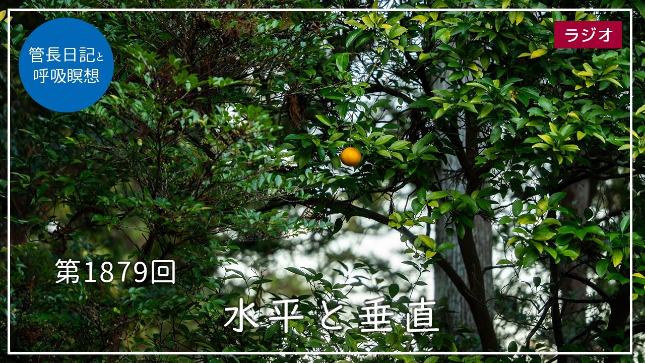 第1879回「水平と垂直」2026/2/28【毎日の管長日記と呼吸瞑想】｜ 臨済宗円覚寺派管長 横田南嶺老師